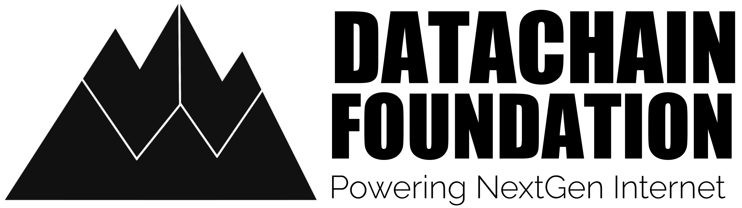 Datachain Foundation